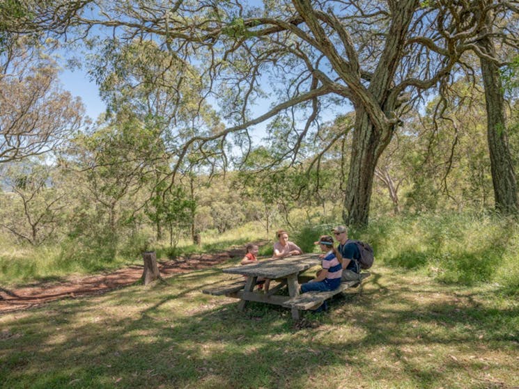 Family at a picnic table in Burning Mountain Nature Reserve. Credit: John Spencer &copy; DPE