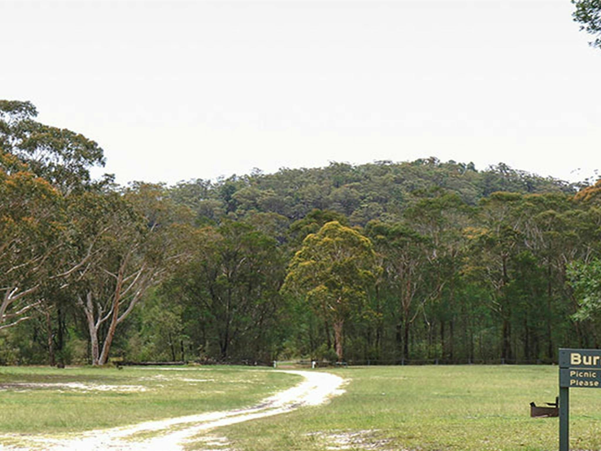 Burralow Creek campground, Blue Mountains National Park. Photo: Steve Alton/OEH