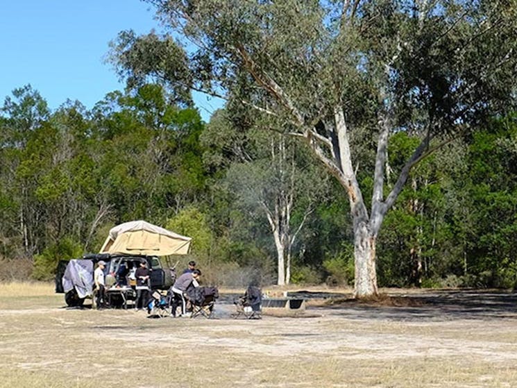 A group of campers at Burralow Creek campground, Blue Mountains National Park. Photo: E