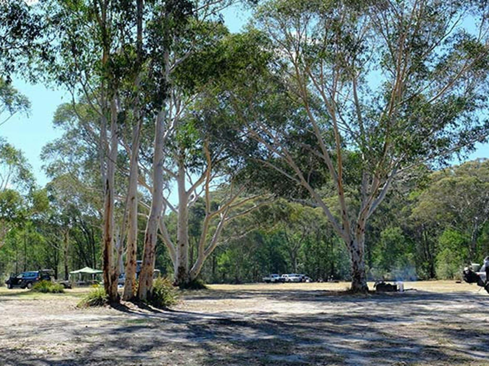 Burralow Creek campground, Blue Mountains National Park. Photo: E Sheargold/OEH.