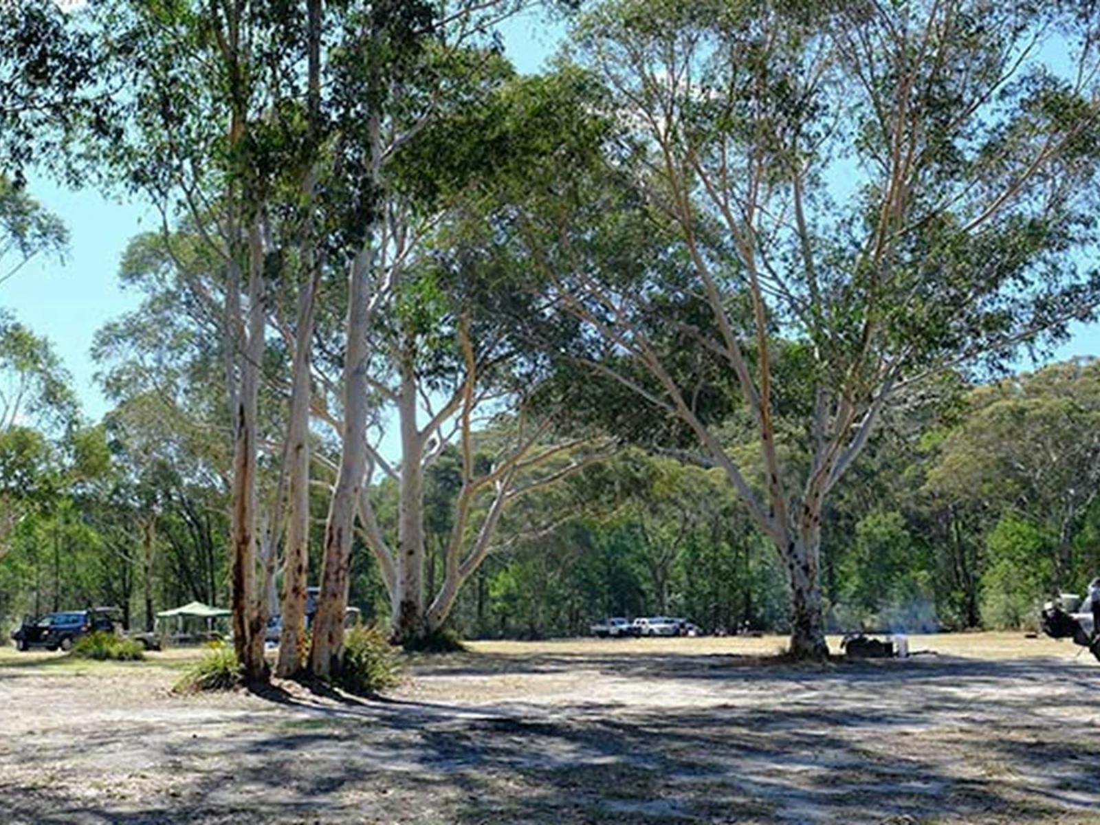 Burralow Creek campground, Blue Mountains National Park. Photo: E Sheargold/OEH.