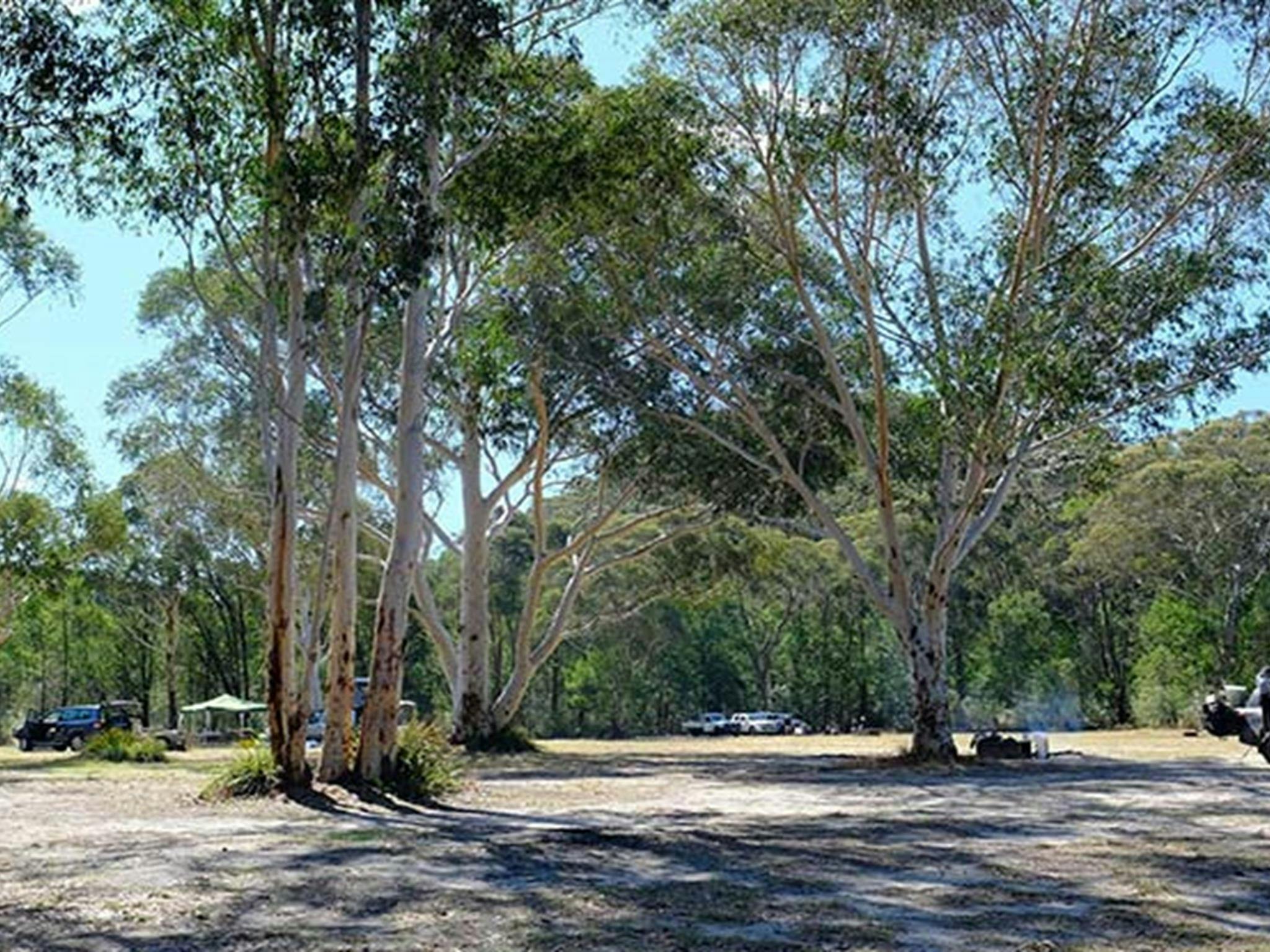 Burralow Creek campground, Blue Mountains National Park. Photo: E Sheargold/OEH.