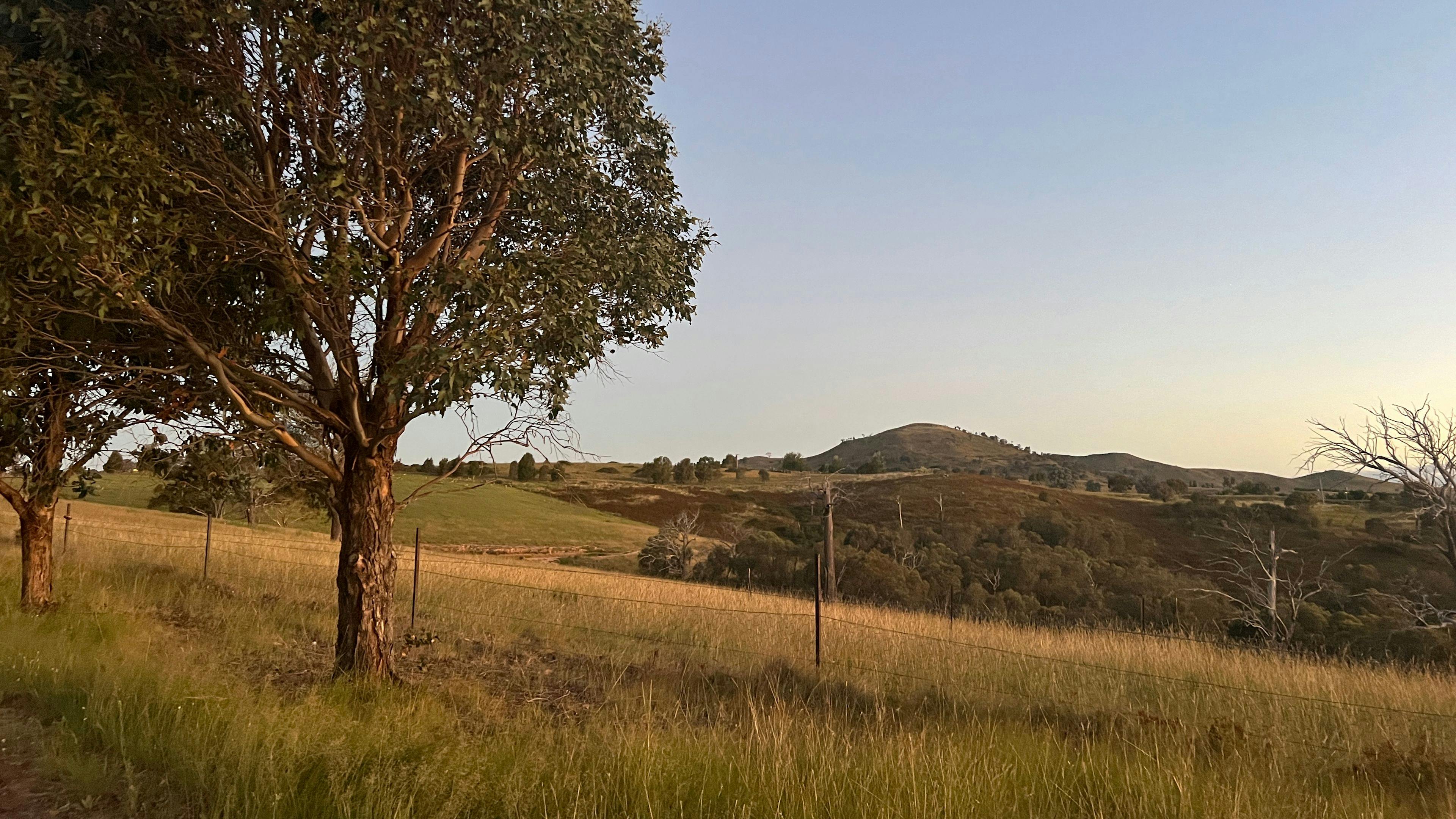 Image for Burrendah Farm Camp