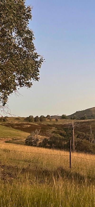Burrendah Farm Camp