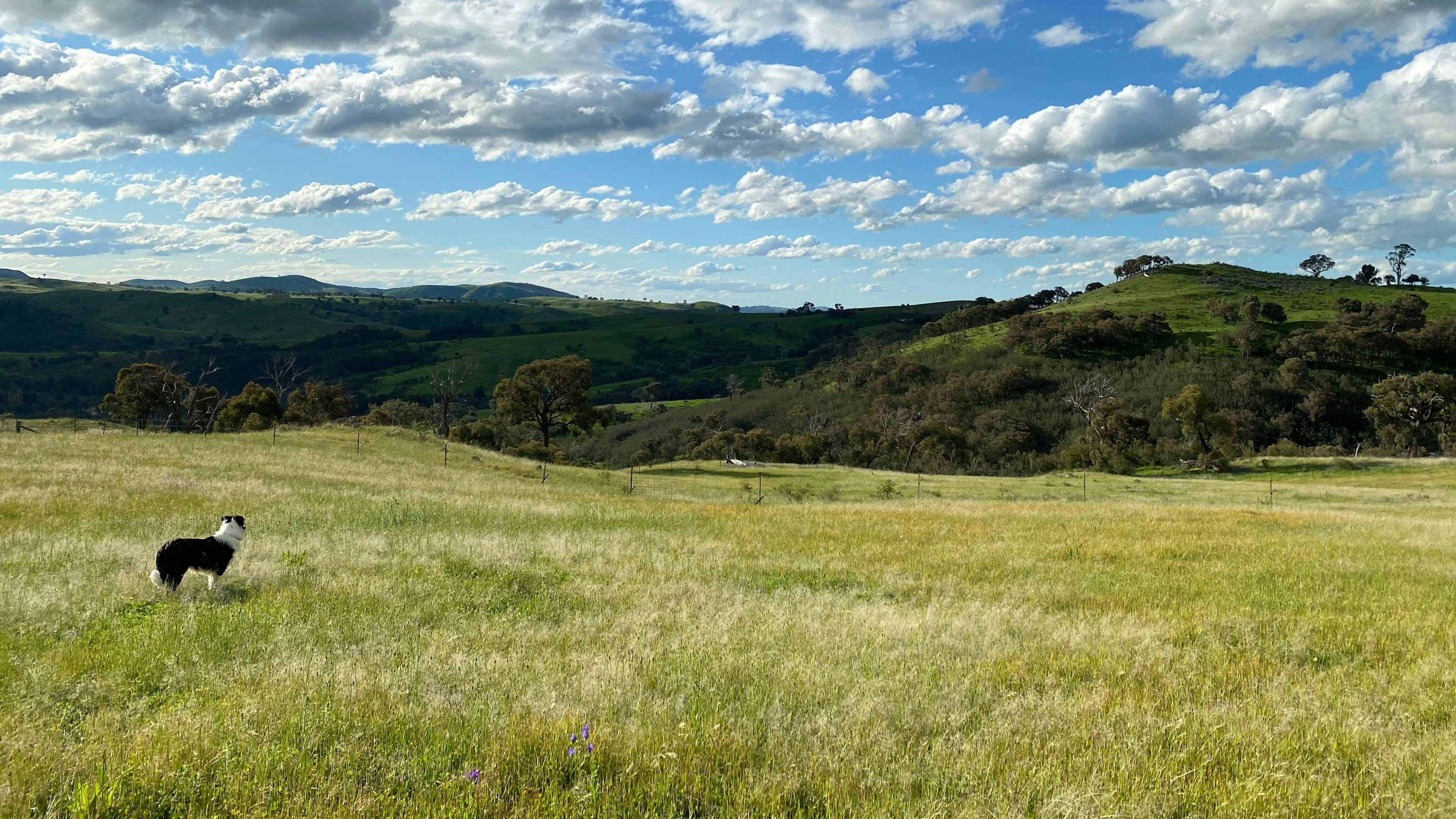 Burrendah Farm Camp