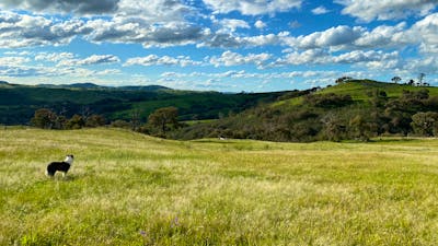 Burrendah Farm Camp