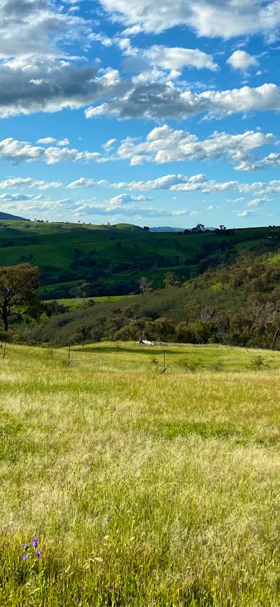 Burrendah Farm Camp