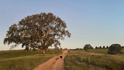 Burrendah Farm Camp