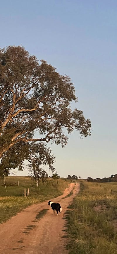 Burrendah Farm Camp