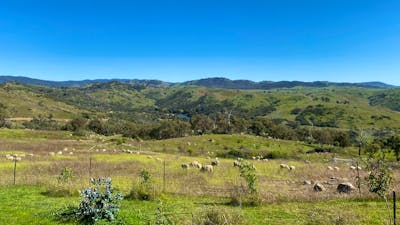 Burrendah Farm Camp