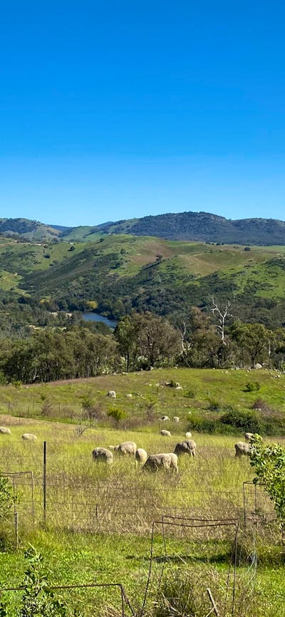 Burrendah Farm Camp
