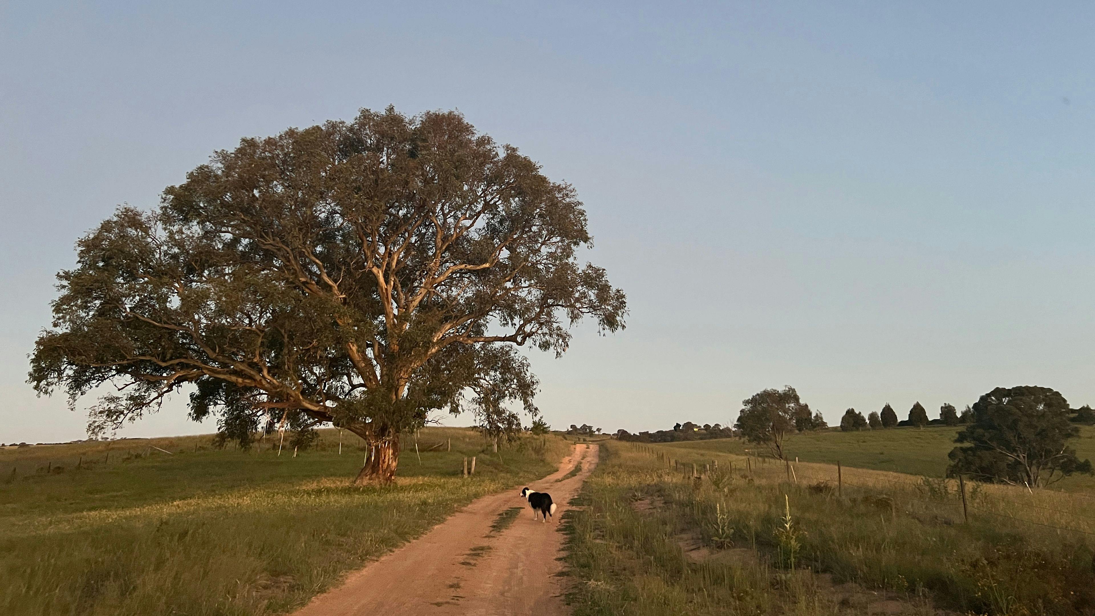 Image for Burrendah Farm Camp