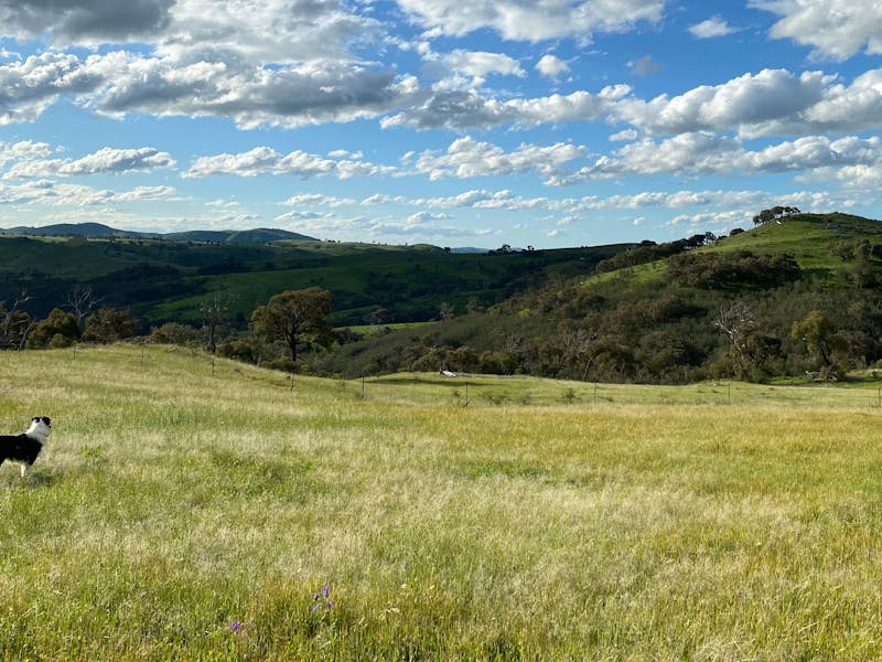 Burrendah Farm Camp