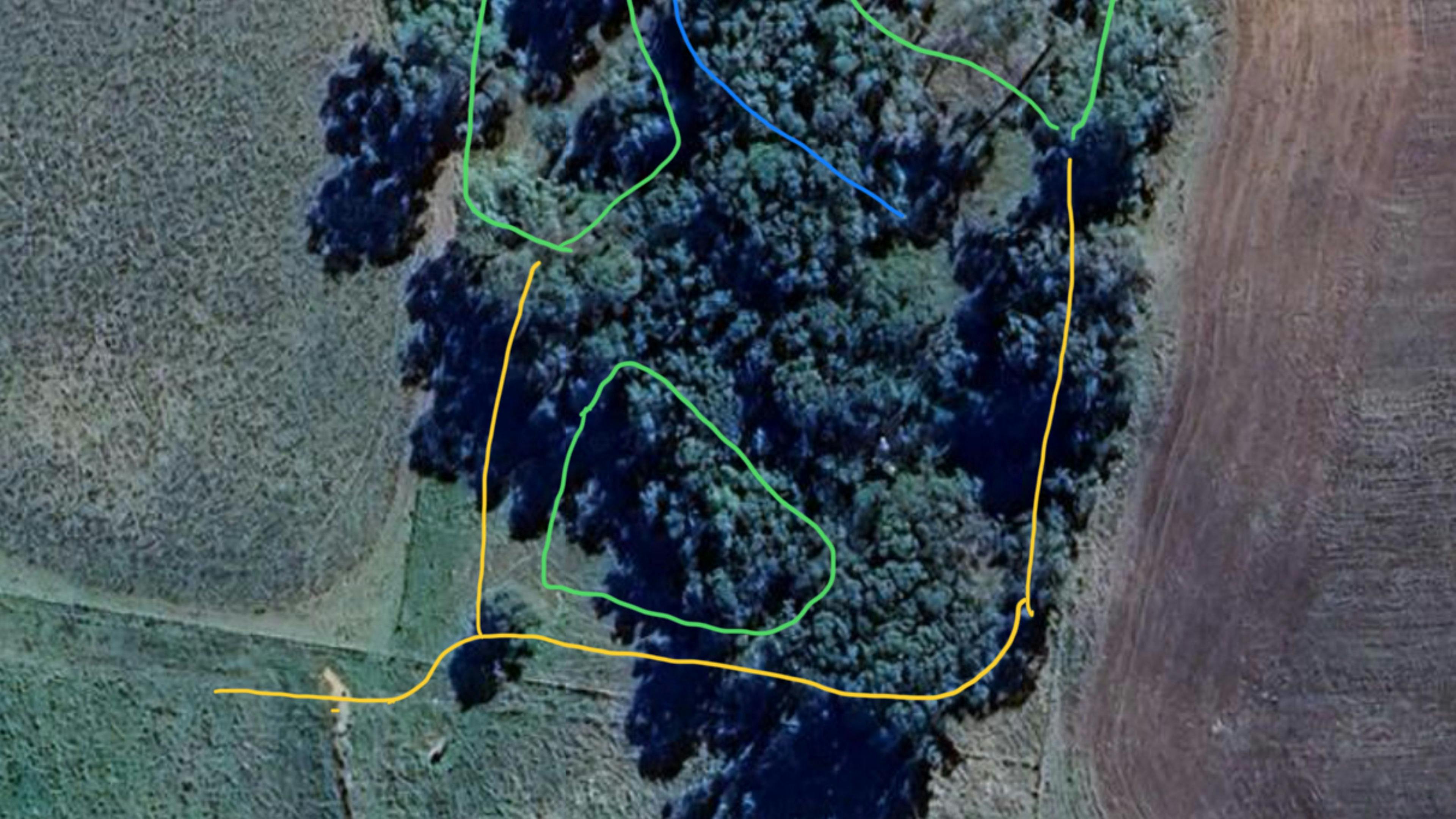 Burrill Creek Camping