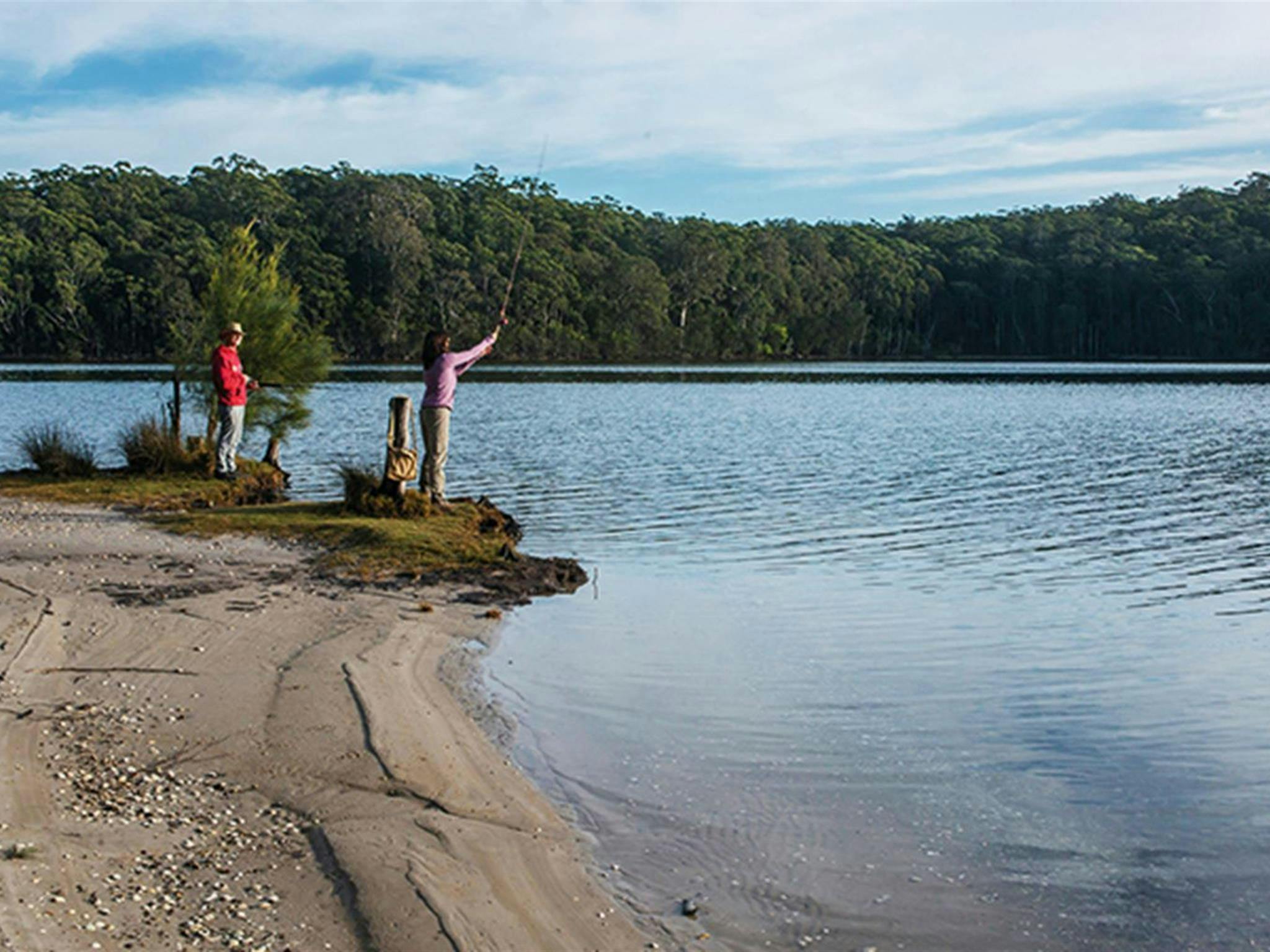Burrill Lake East picnic area Shoalhaven