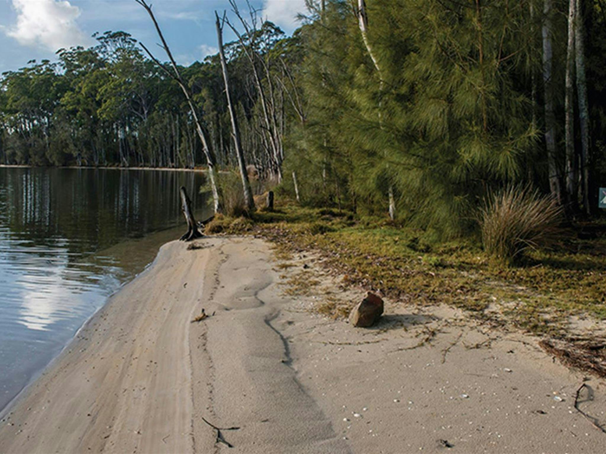 Burrill Lake East picnic area Shoalhaven