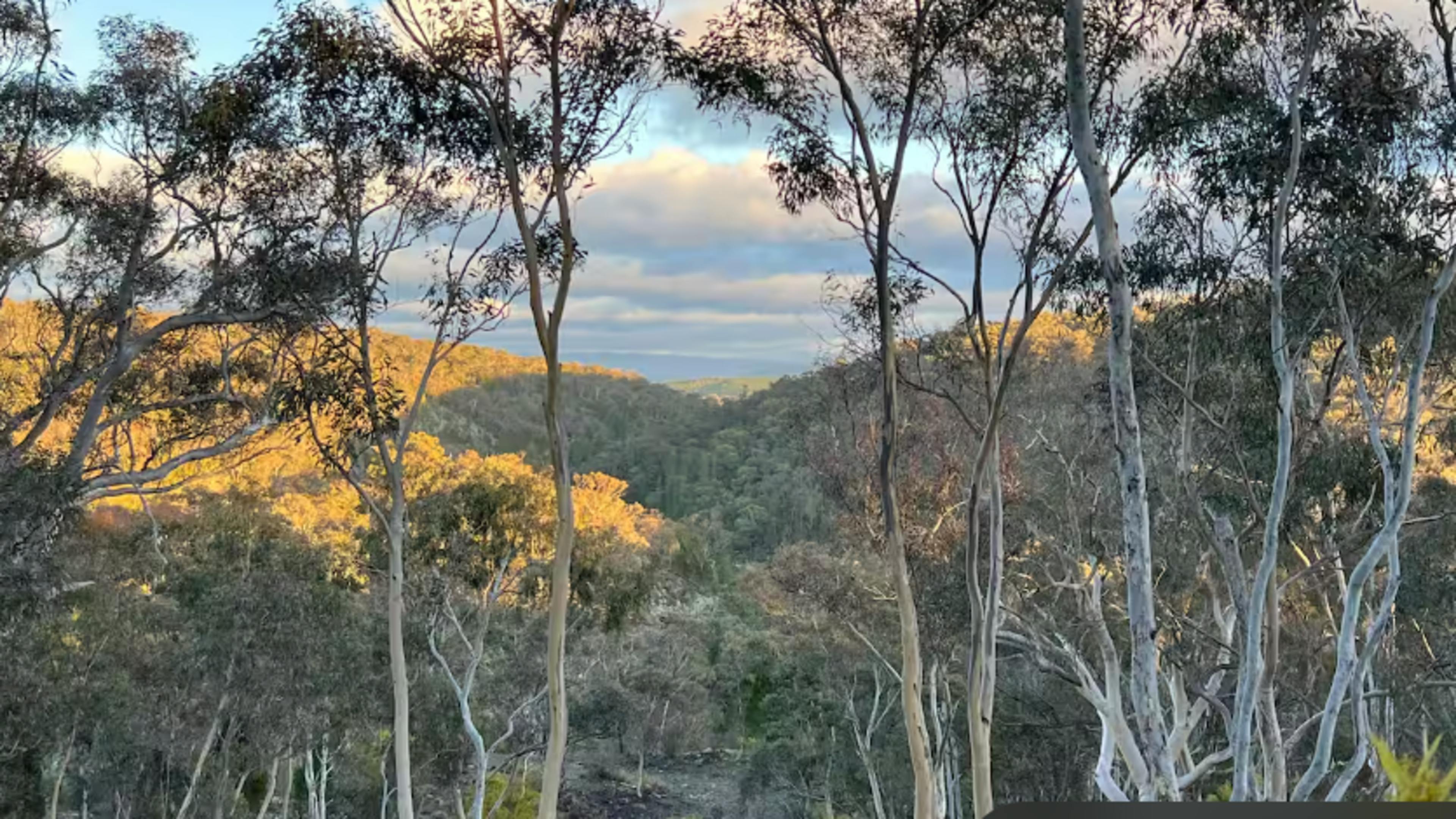 view of the nature resever from a walk taken in the area.