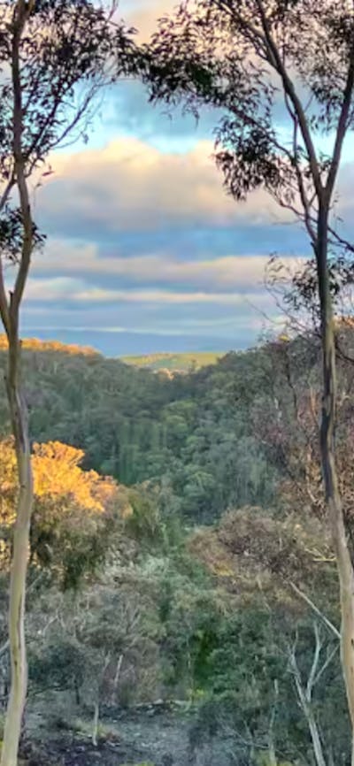 view of the nature resever from a walk taken in the area.