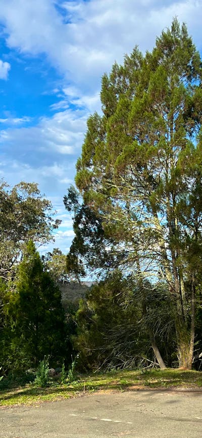 This is the site, large asphelt area, near power supply, grass/dirt area of several metres at back of site. Large turning space in front of site. Back of site has view down into bush and ove