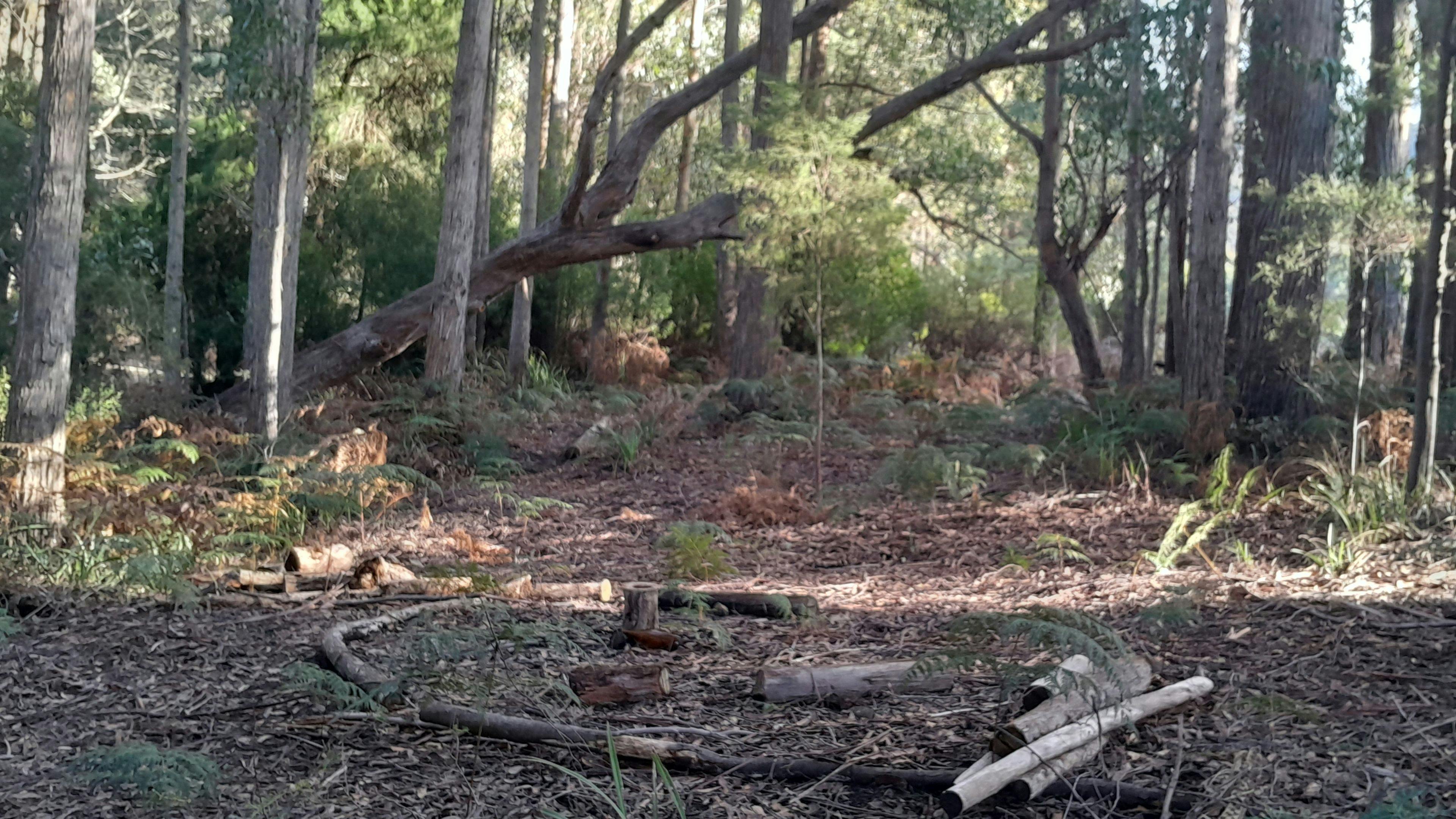 Communal fire area. 