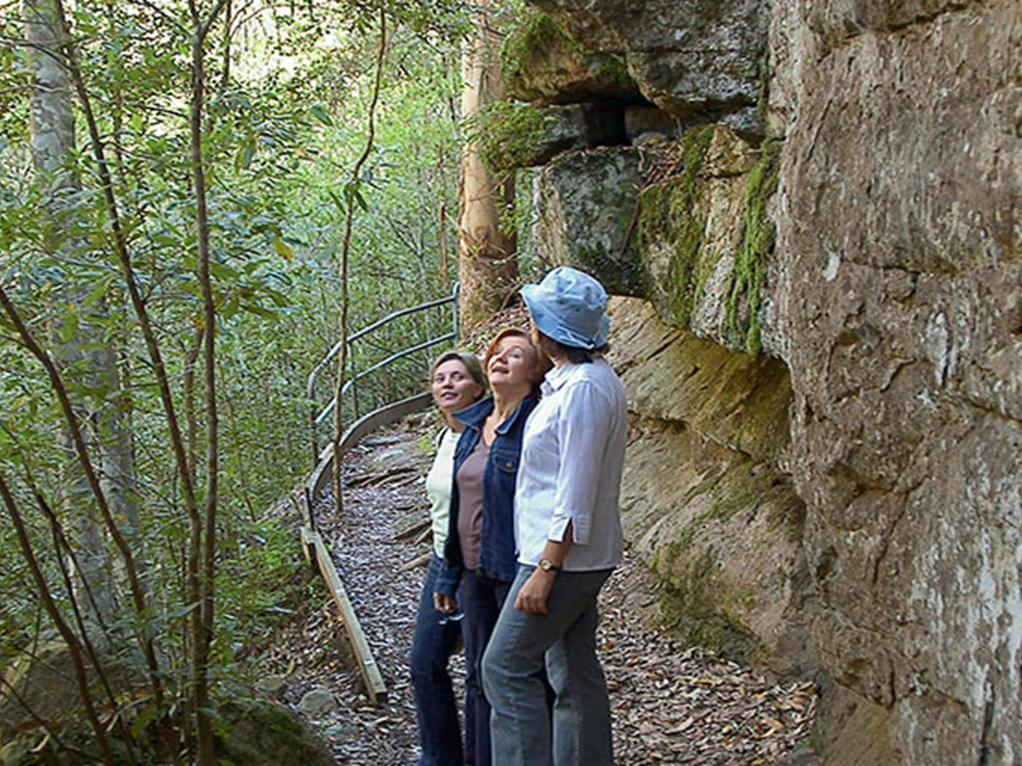 Bushwalkers on a walking track in Bomaderry Creek Regional Park. Photo: Michael Van Ewijk &copy;