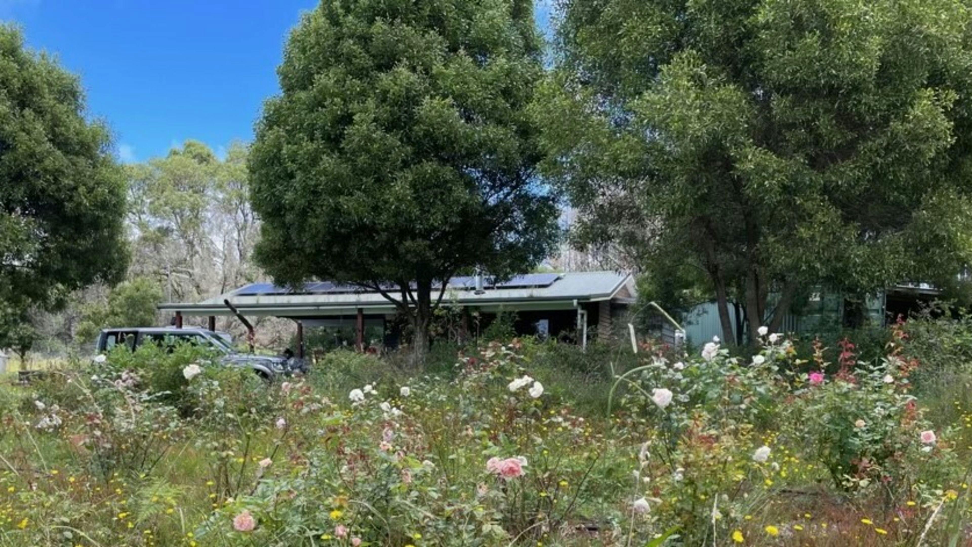 Cabin on the Escarpment