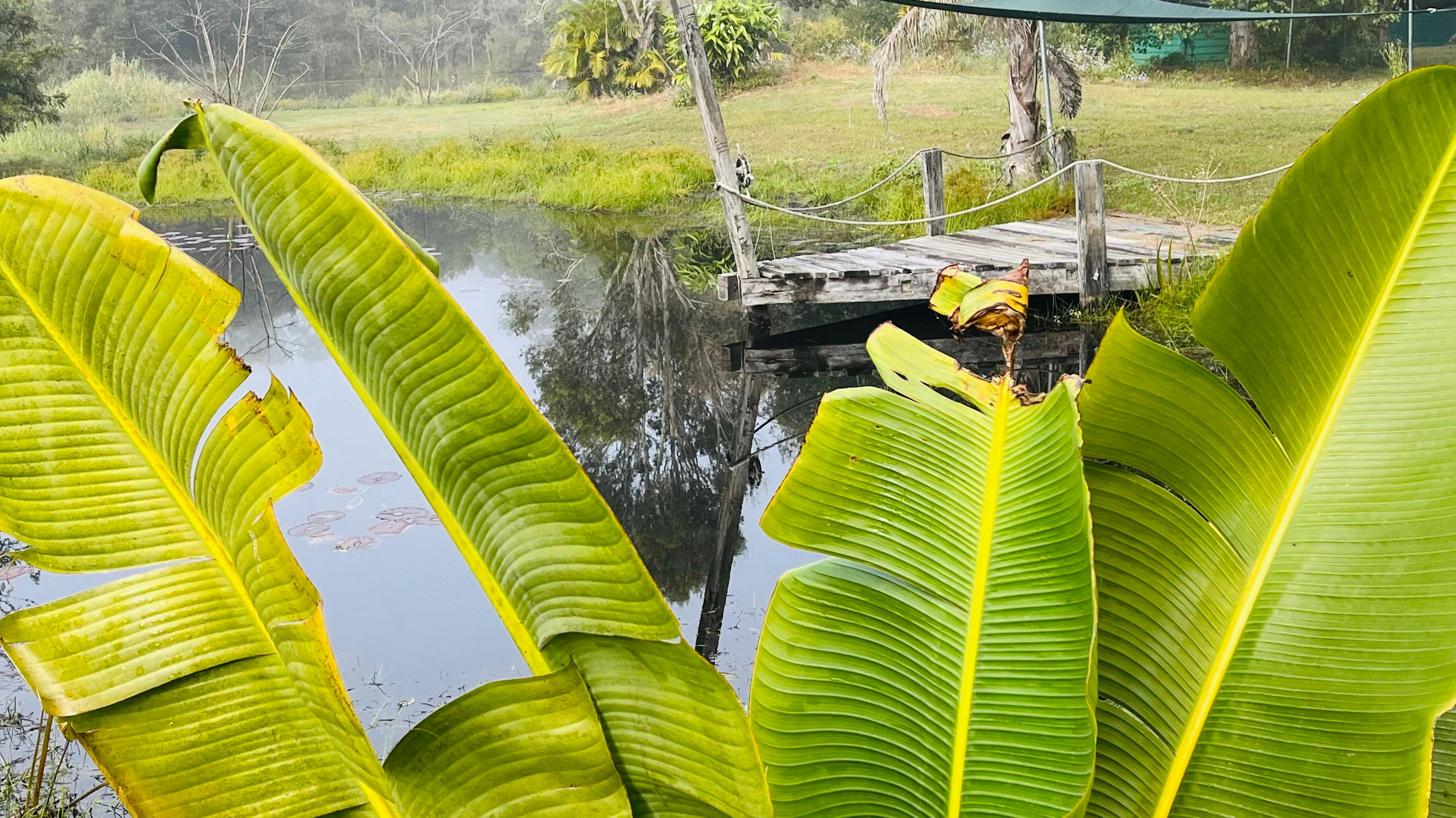Chain of Ponds Campsite