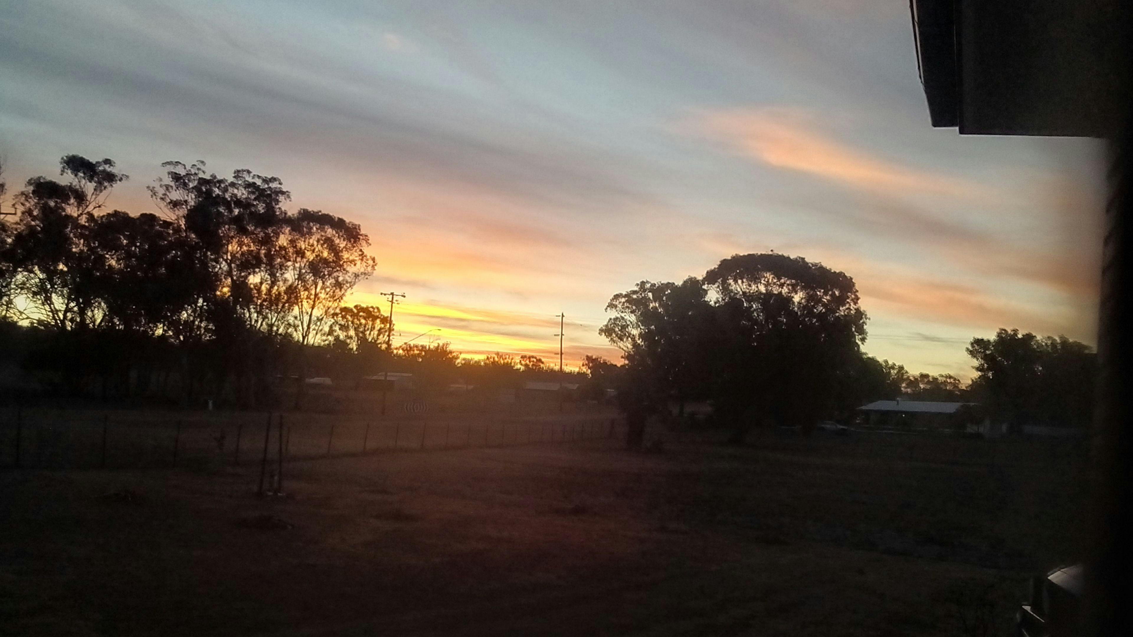 Ashford camping