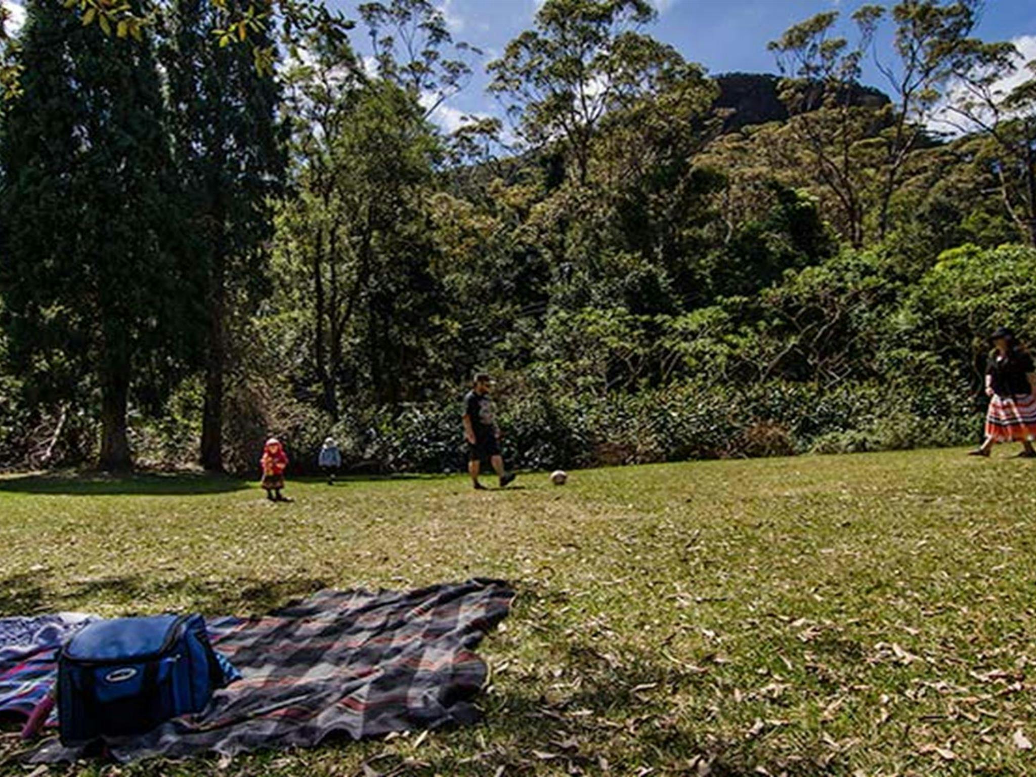 A family on the grass at Byarong Park, Illawarra Escarpment State Conservation Area. Photo: John