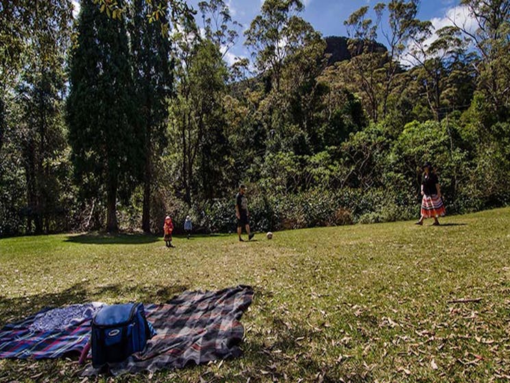 A family on the grass at Byarong Park, Illawarra Escarpment State Conservation Area. Photo: John