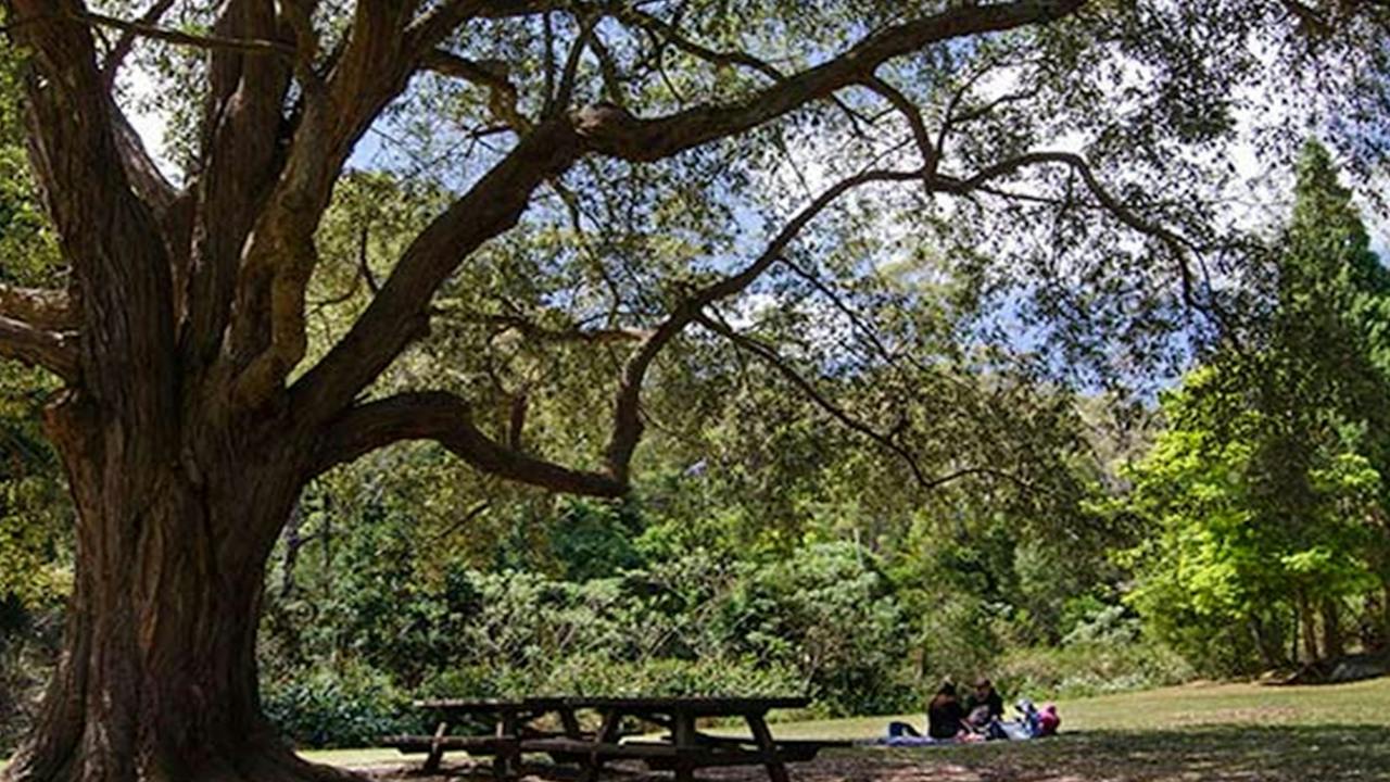 Byarong Park picnic area