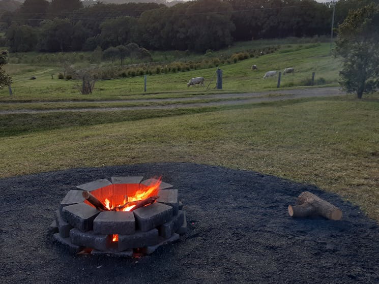 Fire pit for cooking.