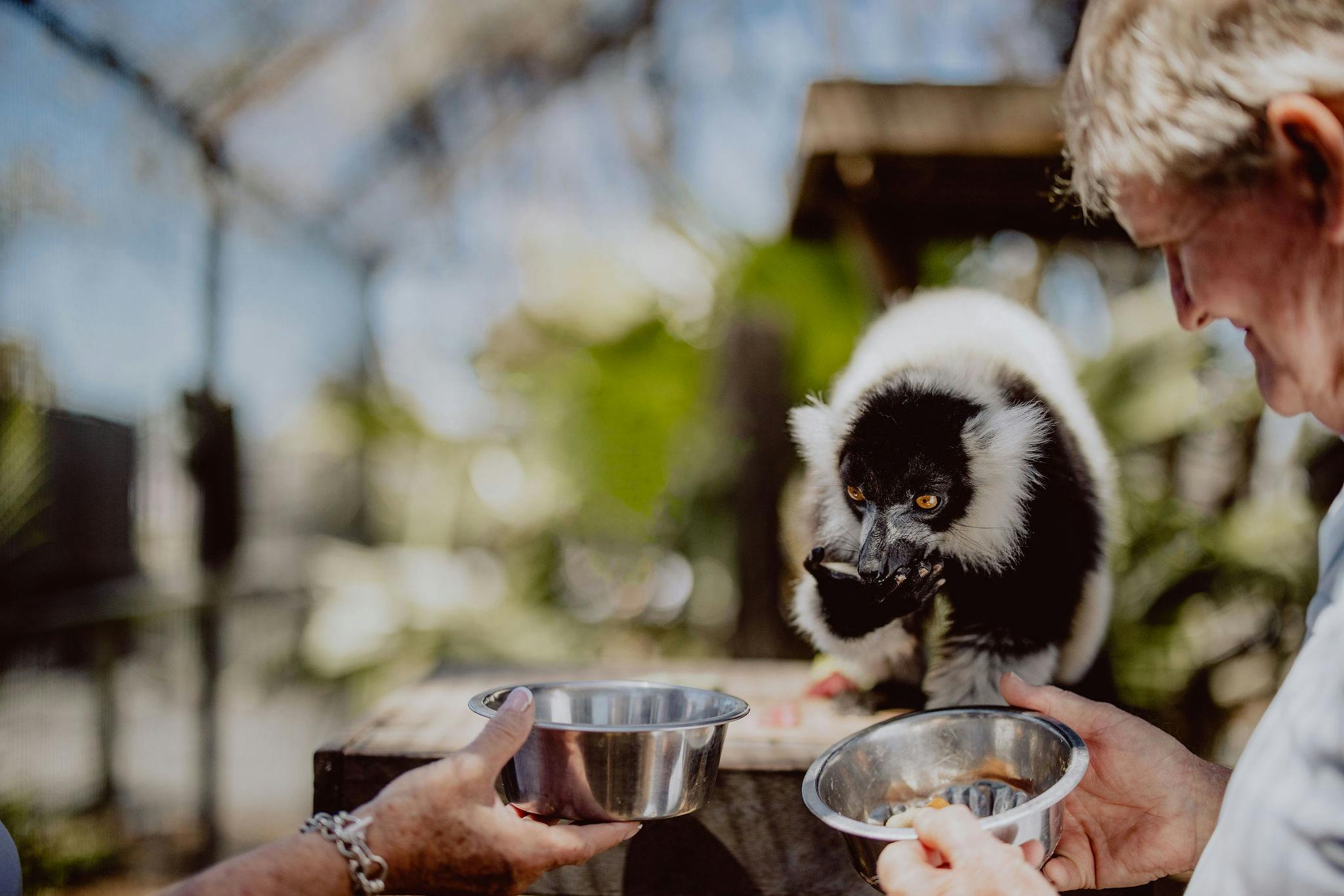 Hands on with our Lemur