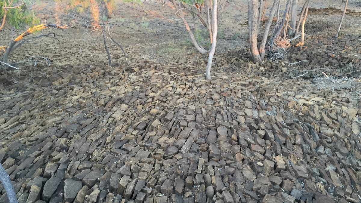 12 Mile 12 Mile
