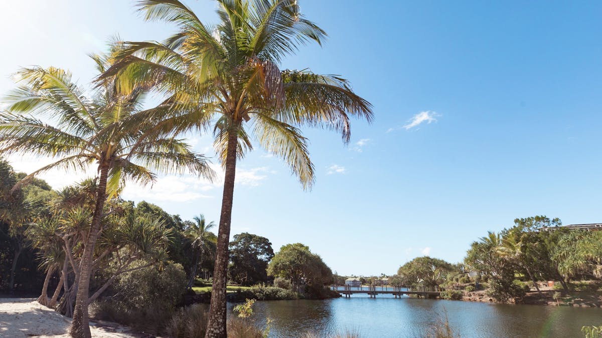 beaches at novotel sunshine coast resort