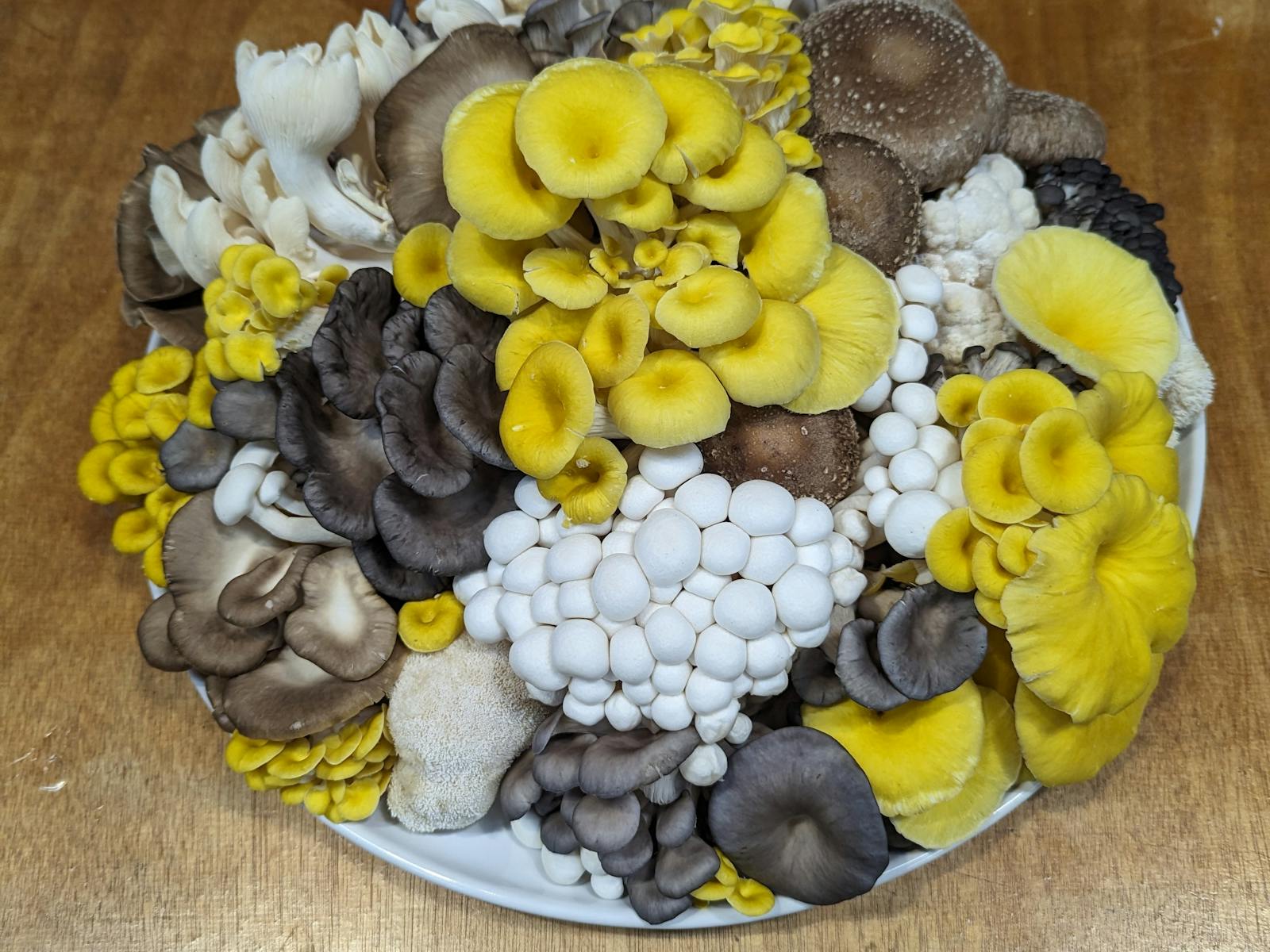 Plate of mixed edible fungi