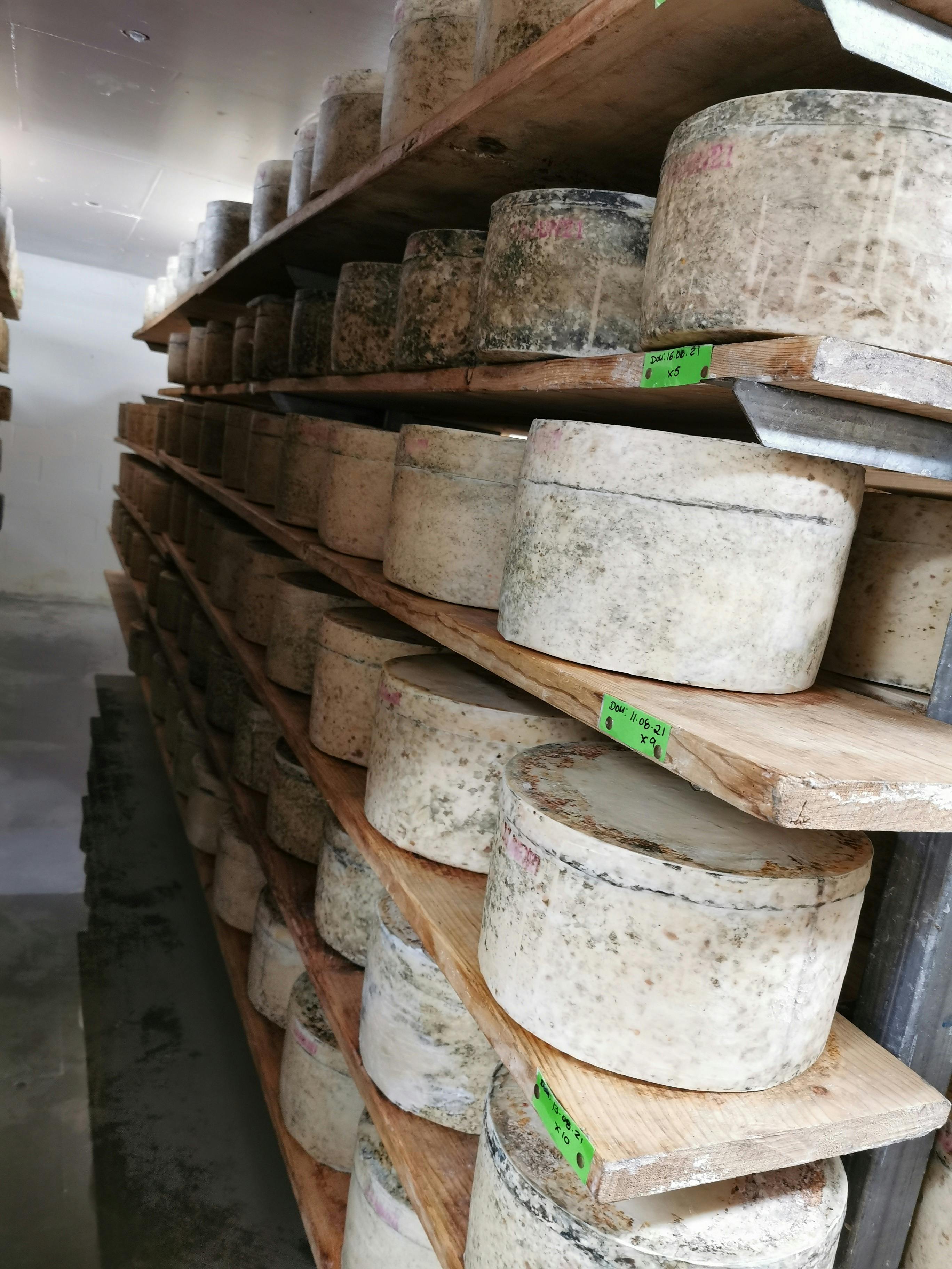 Pyengana Dairy Farm Gate Cafe Food and drink Discover Tasmania