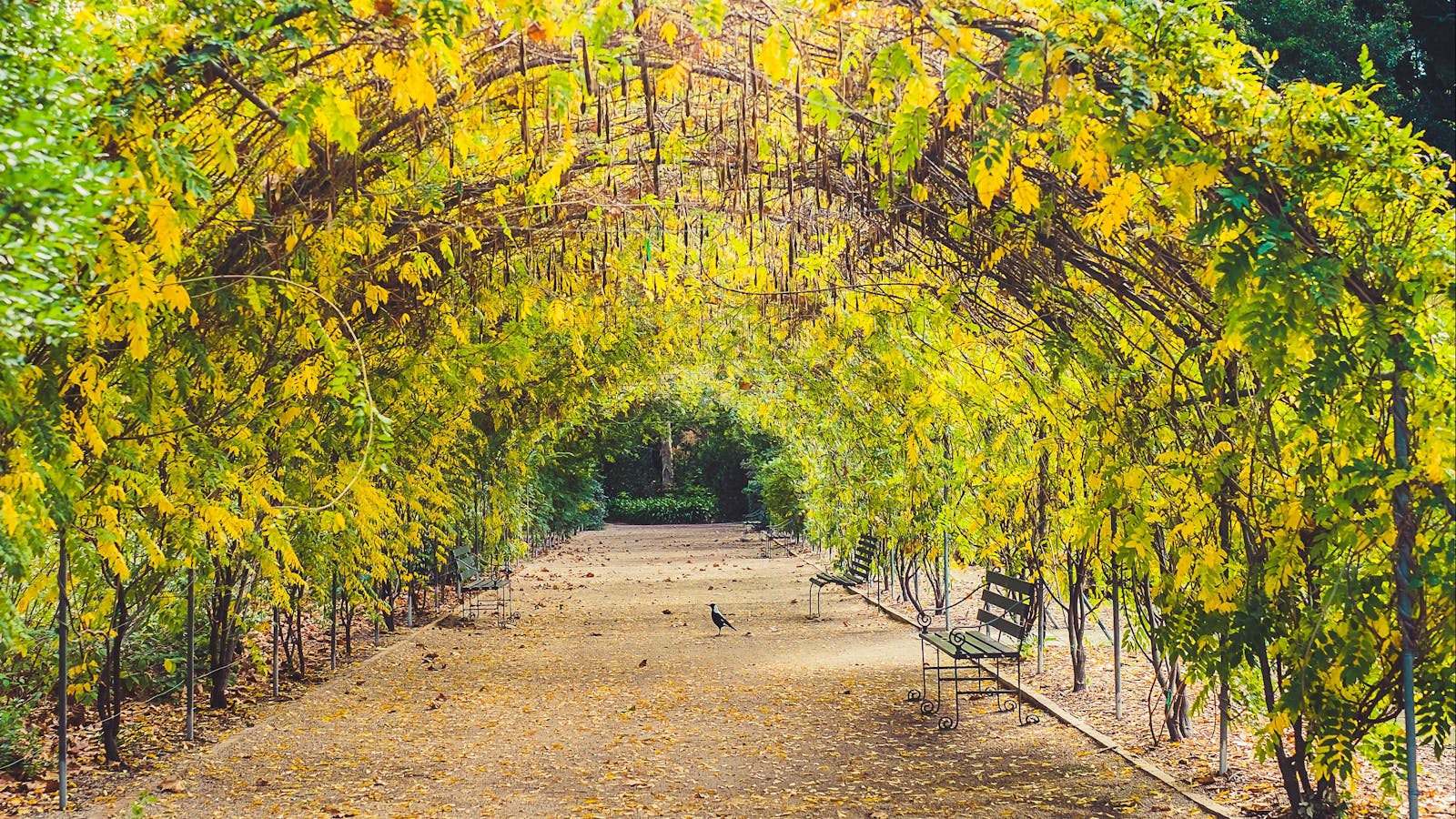 Adelaide Photography Tours
