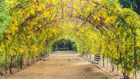 Adelaide Photography Tours