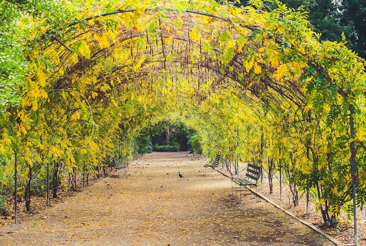 Adelaide Photography Tours