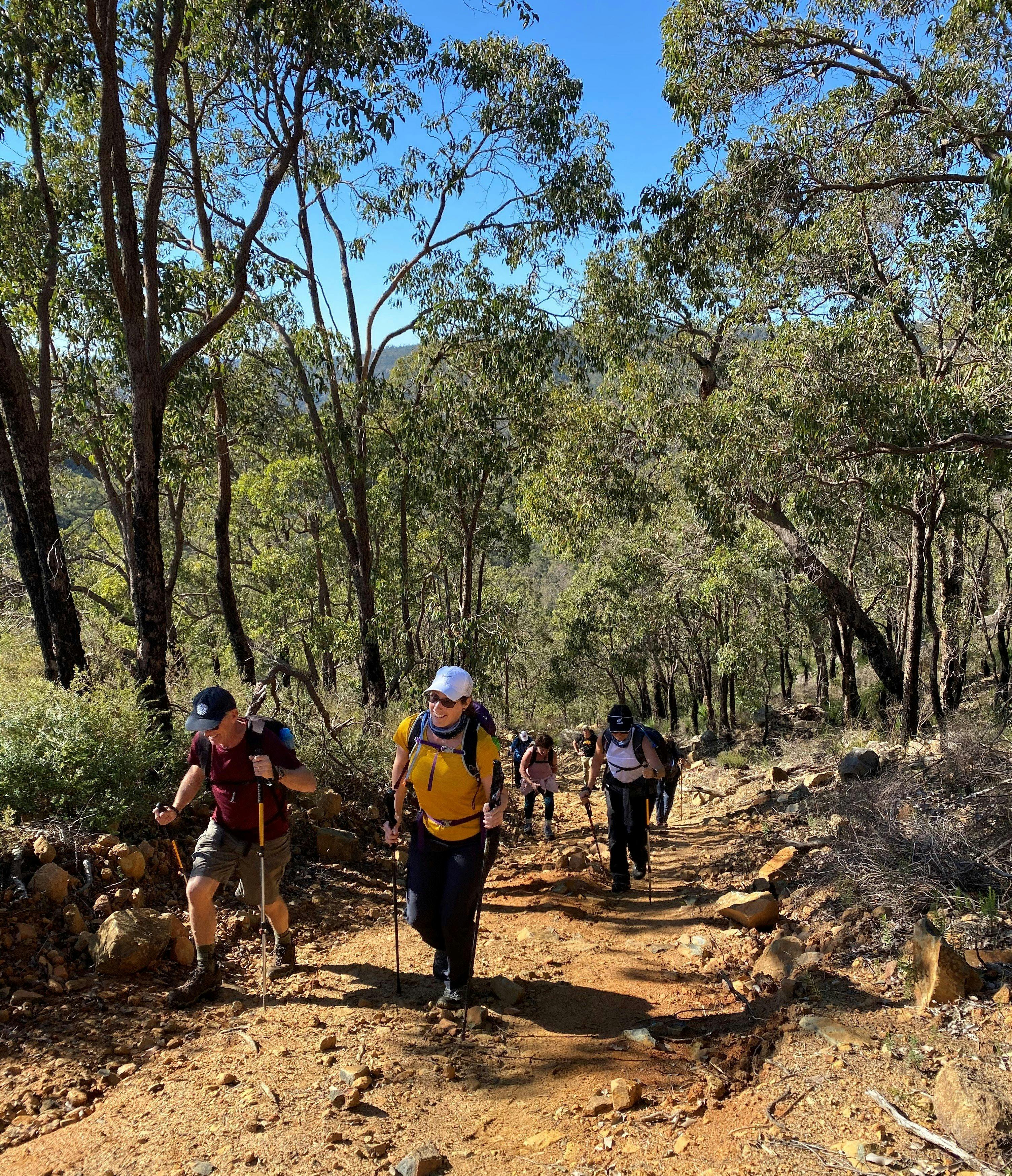Piesse Brook Endurance Hike