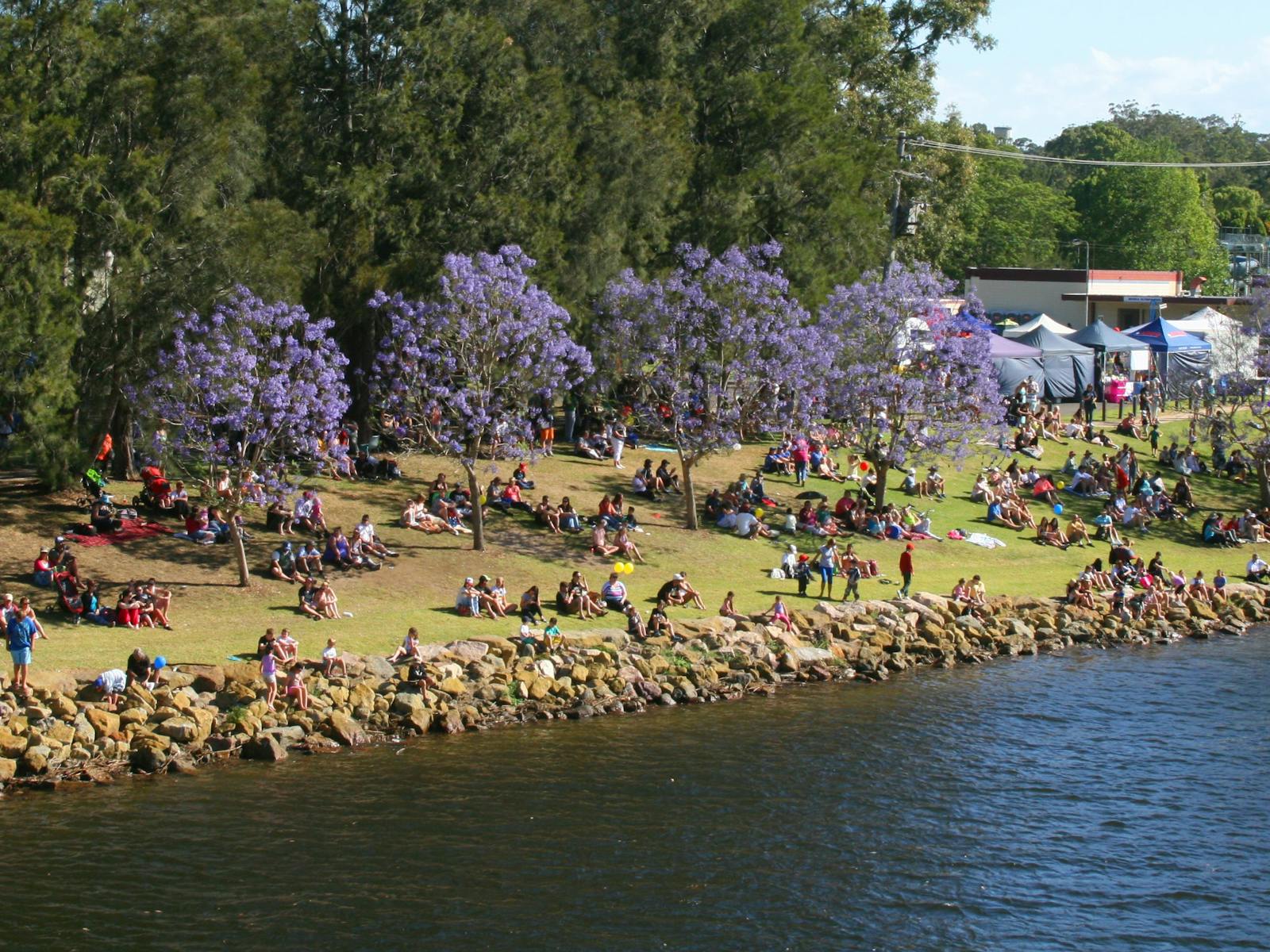 Image for Shoalhaven River Festival