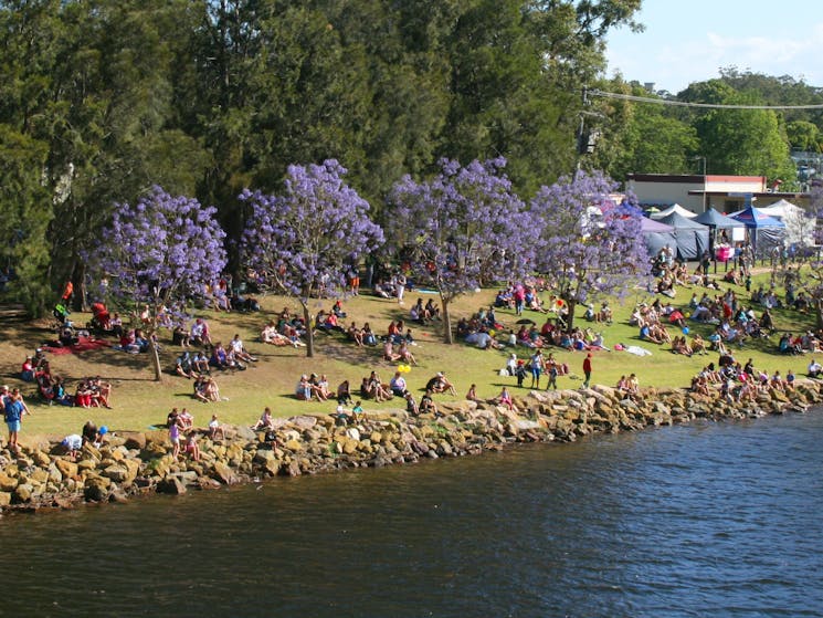 Crowds enjoying the river activities
