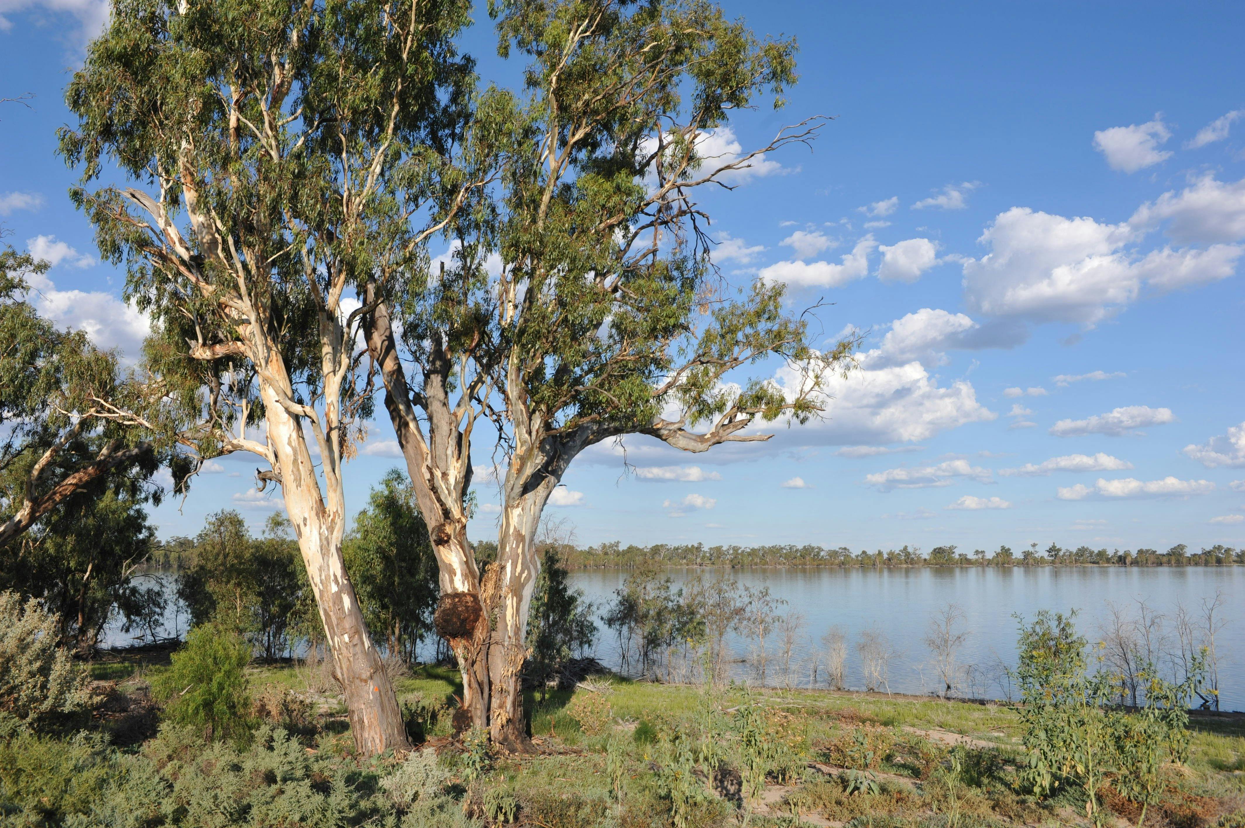 Yanga Lake where Yanga Homestead sits on the pinnacle of the Lake