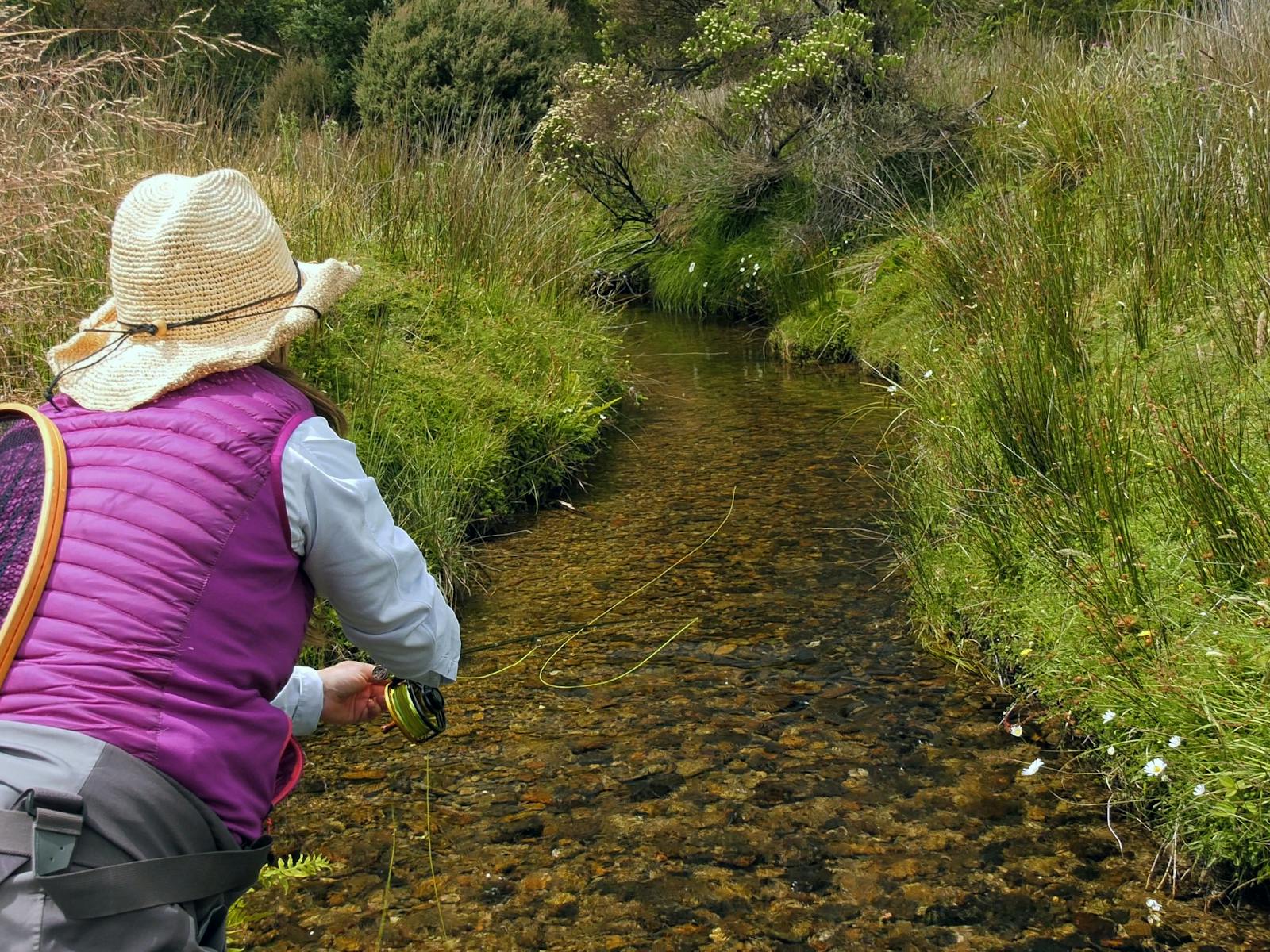 Tasmanian creek fishing
