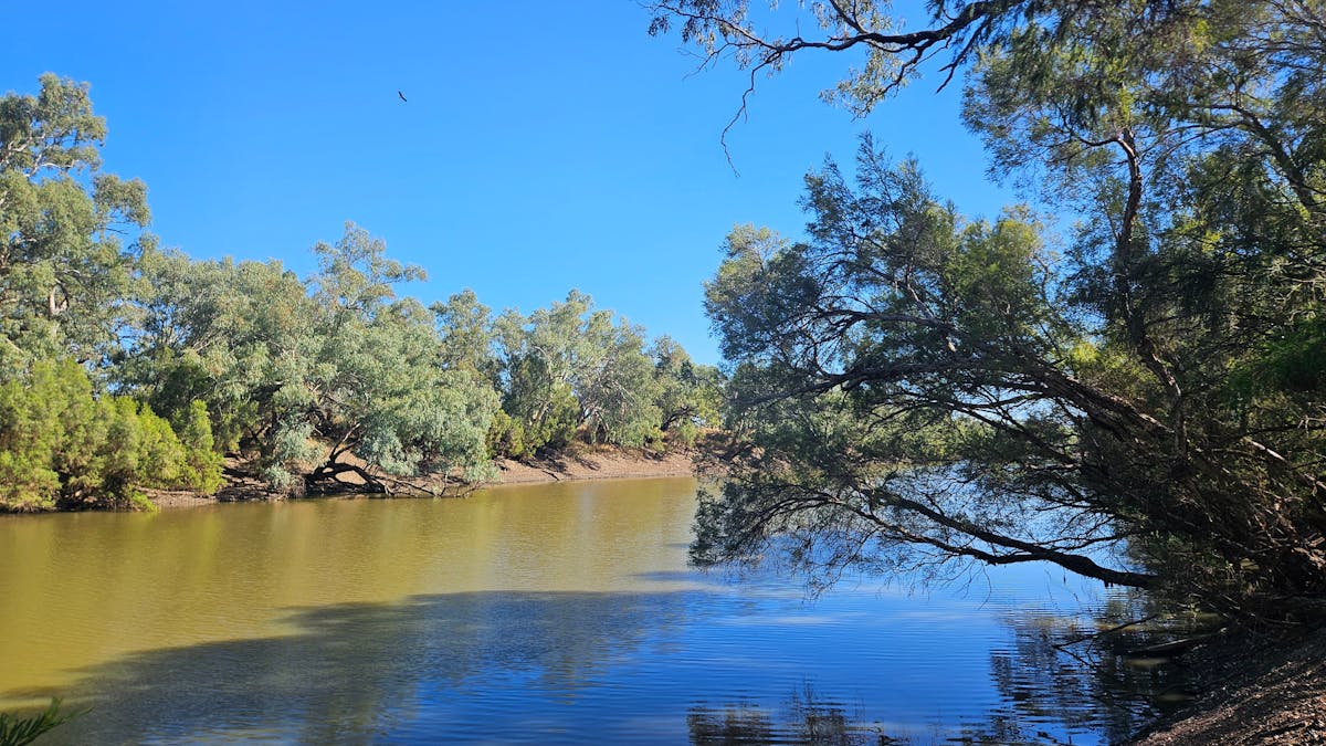 a 2km long waterhole, perfect for fishing at Ticklemans Garden Campsite a 2km long waterhole, perfect for fishing at Ticklemans Garden Campsite