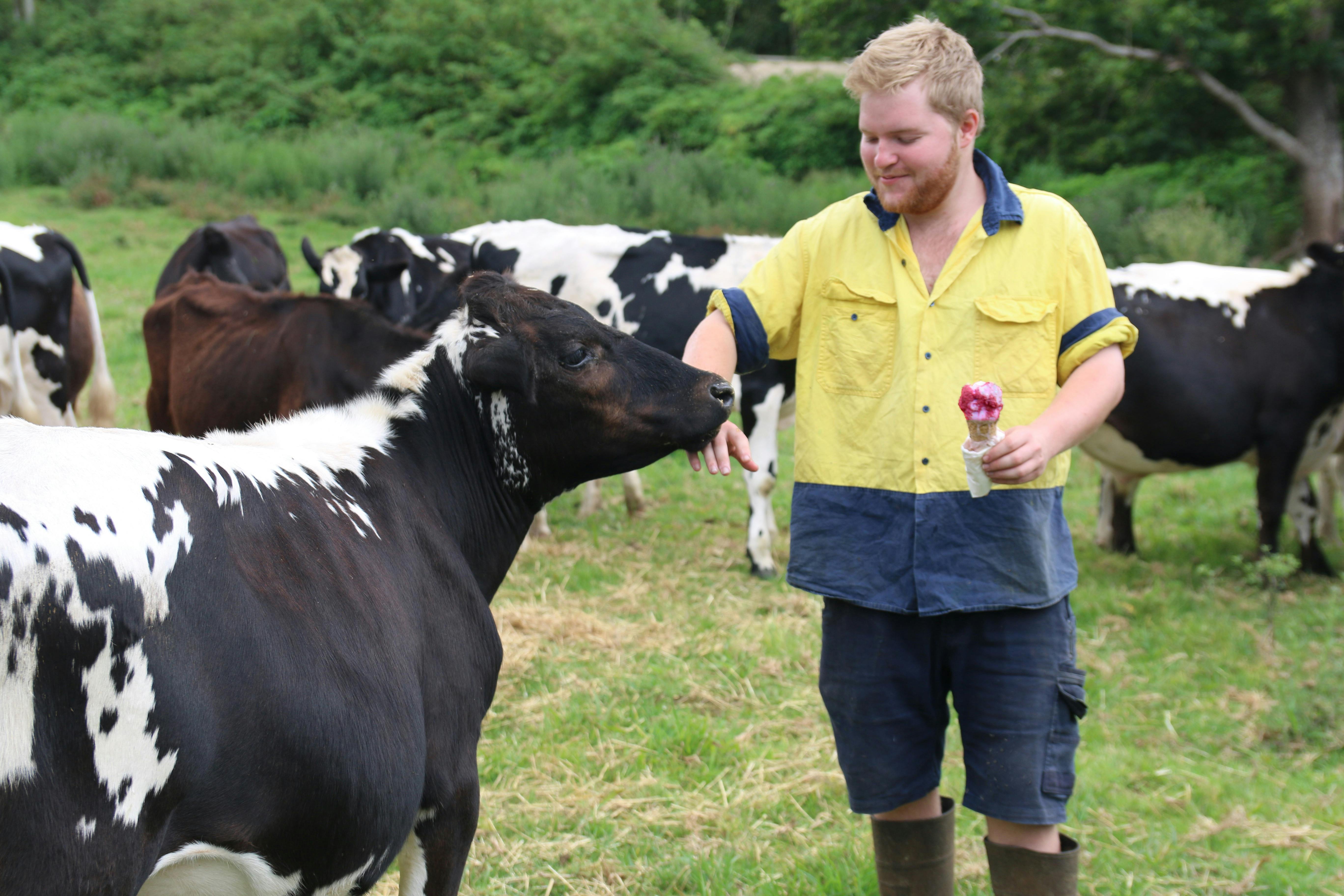 Tweed Valley Whey Farmhouse Cheeses