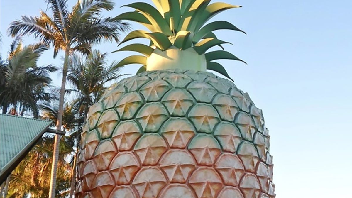 Big Pineapple