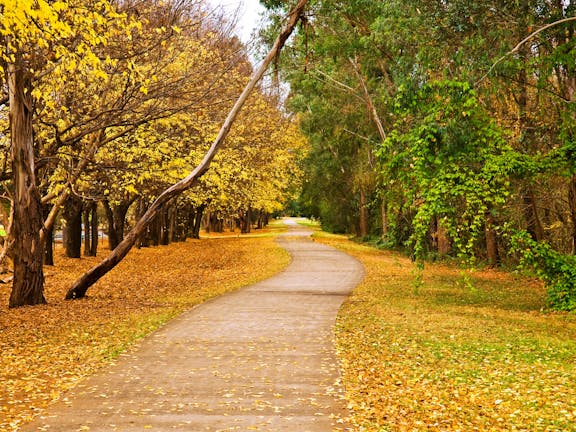 Nepean River Cycleway