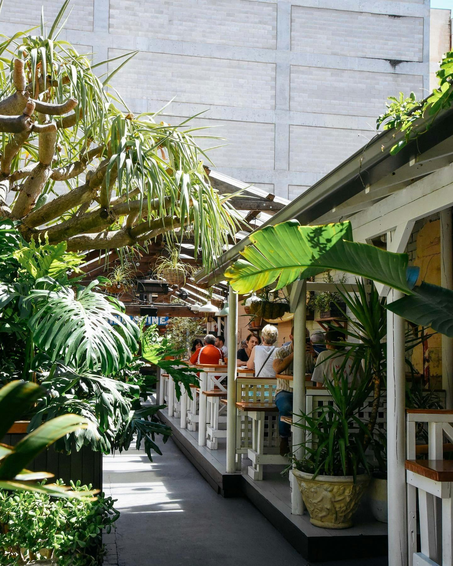 A hidden little greenhouse